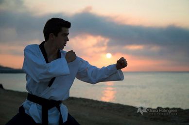 taekwond profes