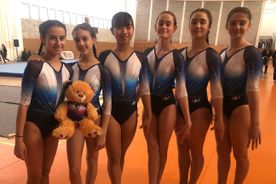 gimnasia femenina artística